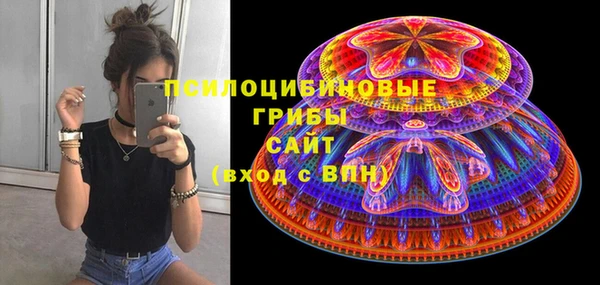 соль ск Бронницы