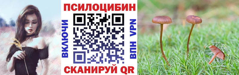darknet формула  Судак  Галлюциногенные грибы мицелий 